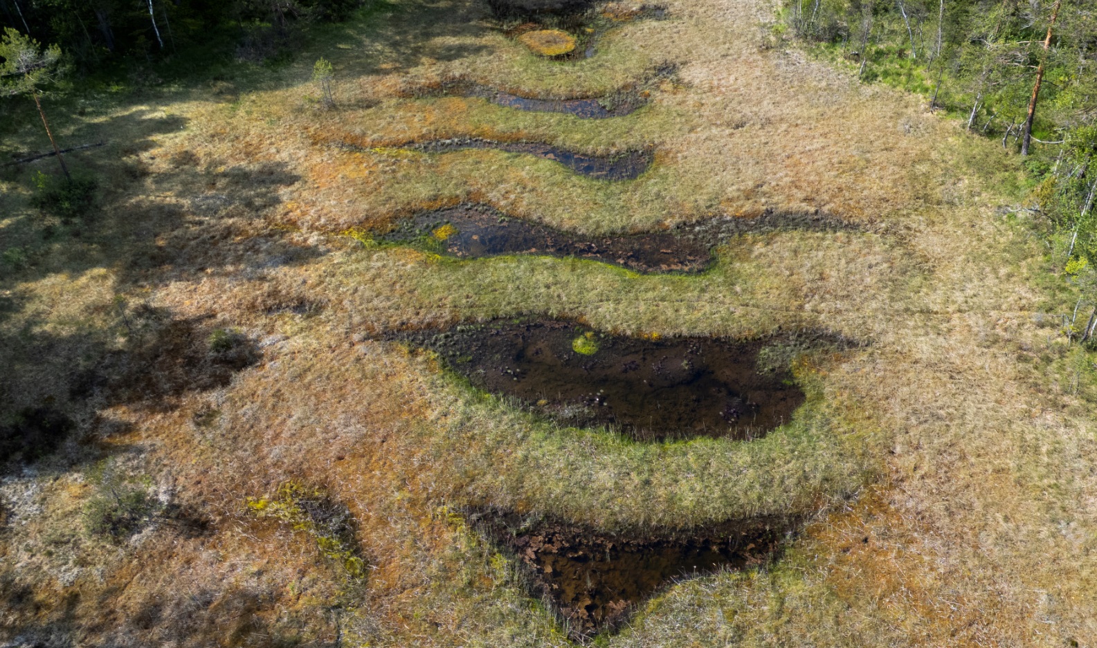 dronebilde av en myr