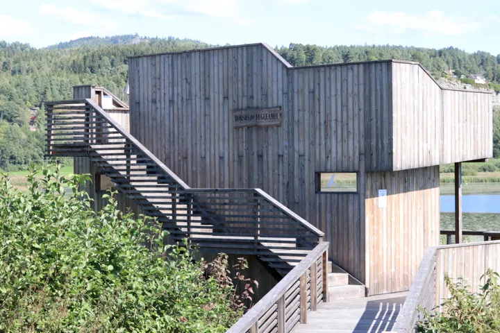 Fugleamfi ved Børsesjø.