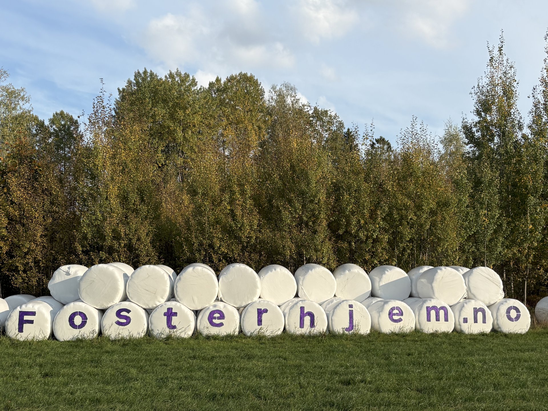 Rundballer med reklame for fosterhjem.no