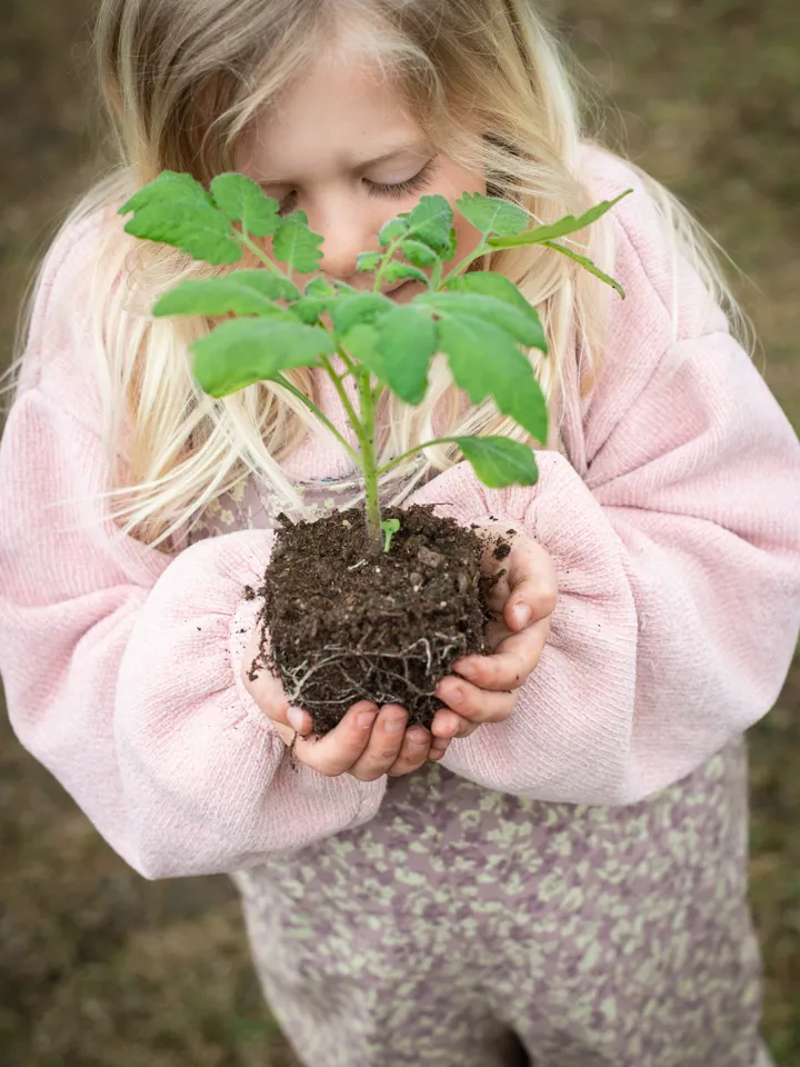 Barn som holder plante.