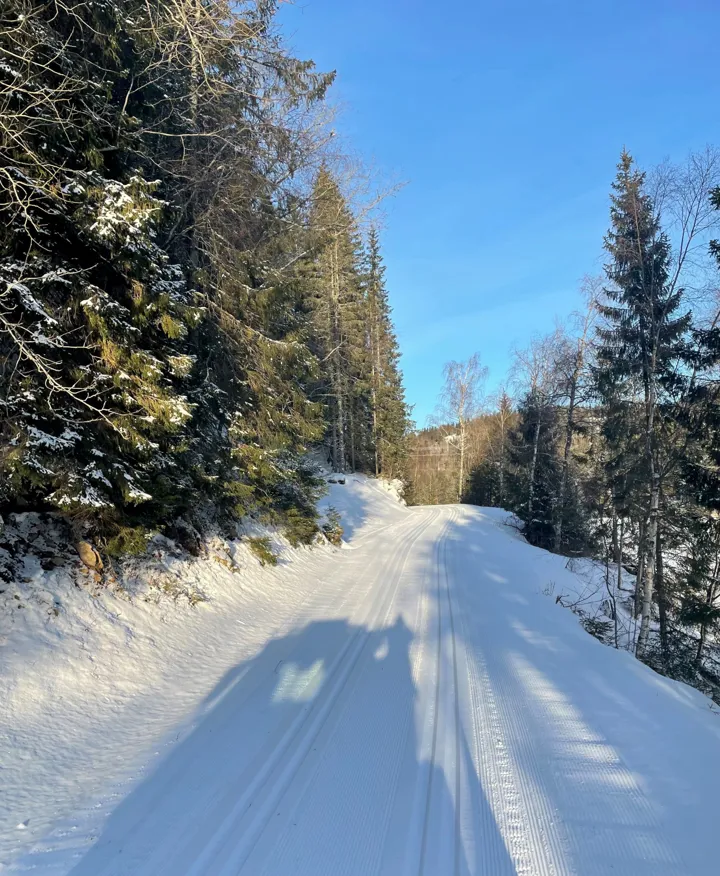 Bilde fra skiløypa mellom Solvika og Venstøptjenn.