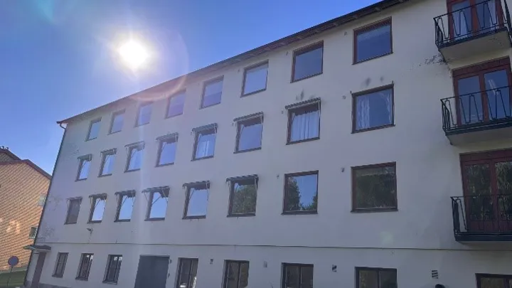 Hestehaugen2
