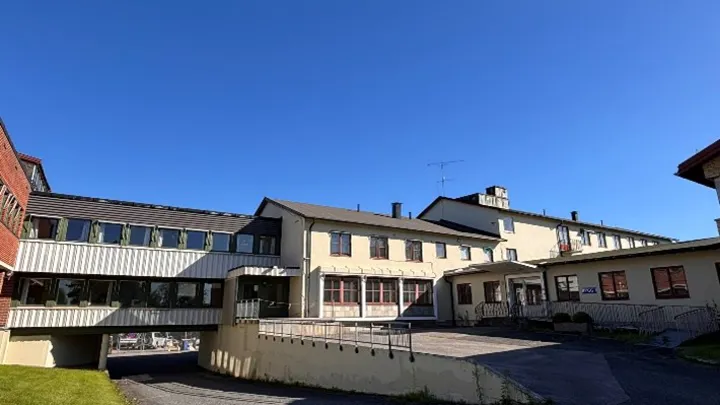Hestehaugen1