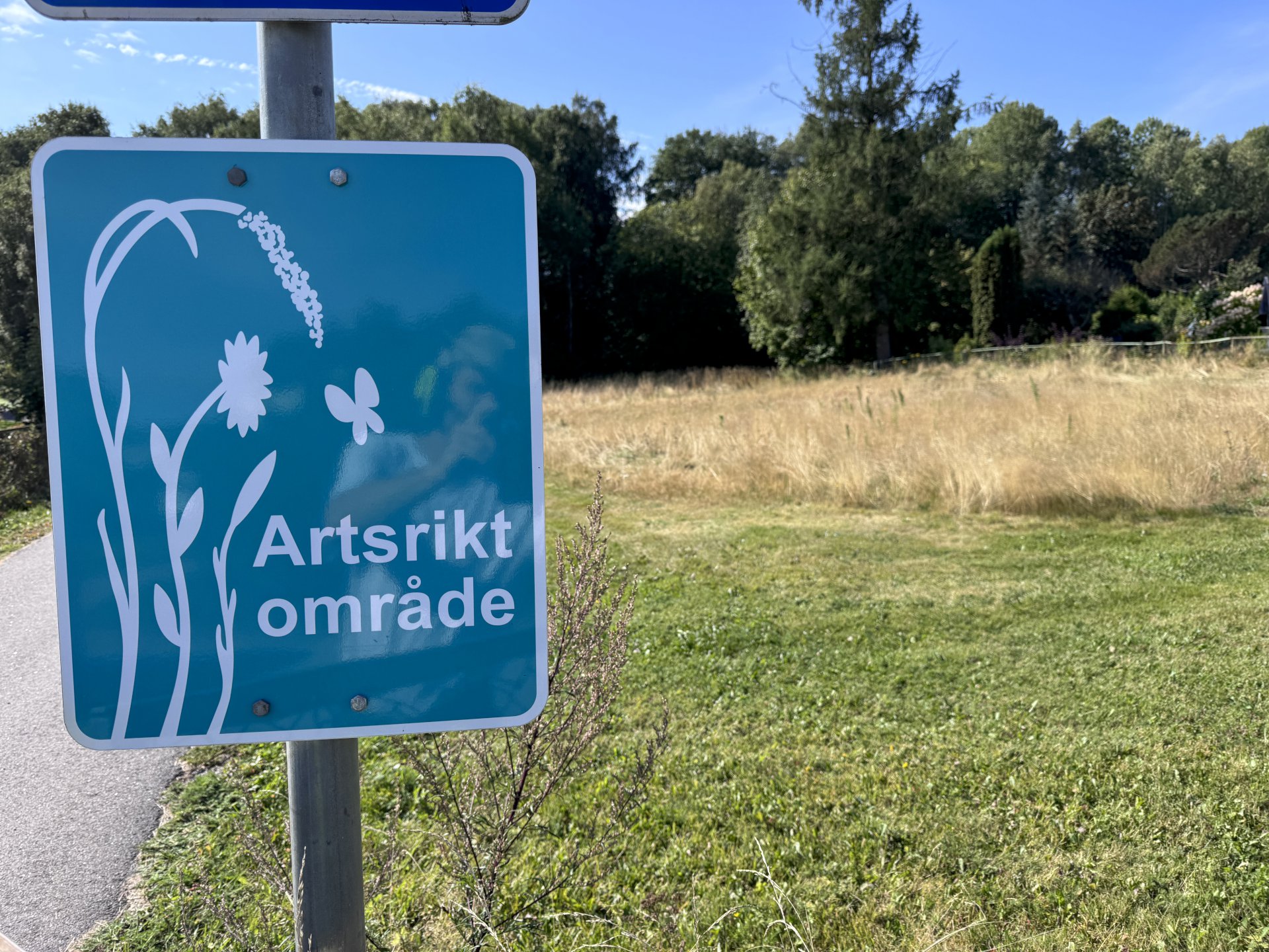 Fra plen til blomstrende eng