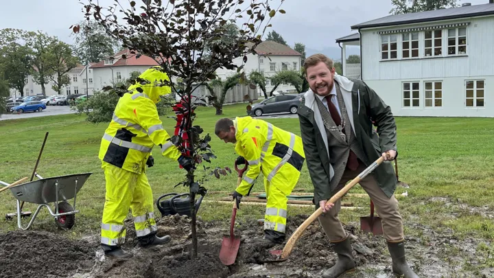ordfører sammen med ansatte fra Skien kommunes parkavdeling planter et tre.
