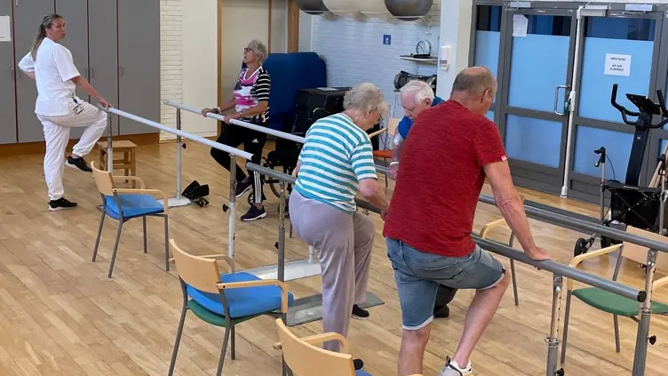 Opplevd funksjonstap, fall eller risiko for det?