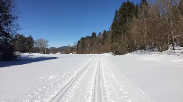 Bilde fra Gjerpensløypa i strålende sol.
