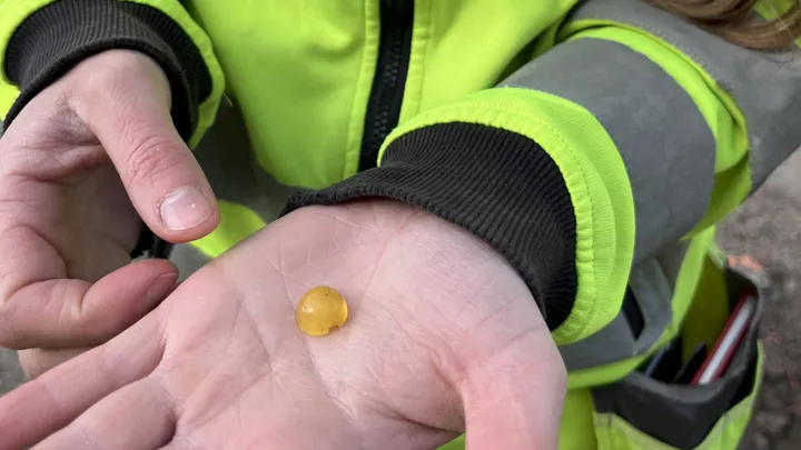 arkeolog fra NIKU viser en perle de har funnet