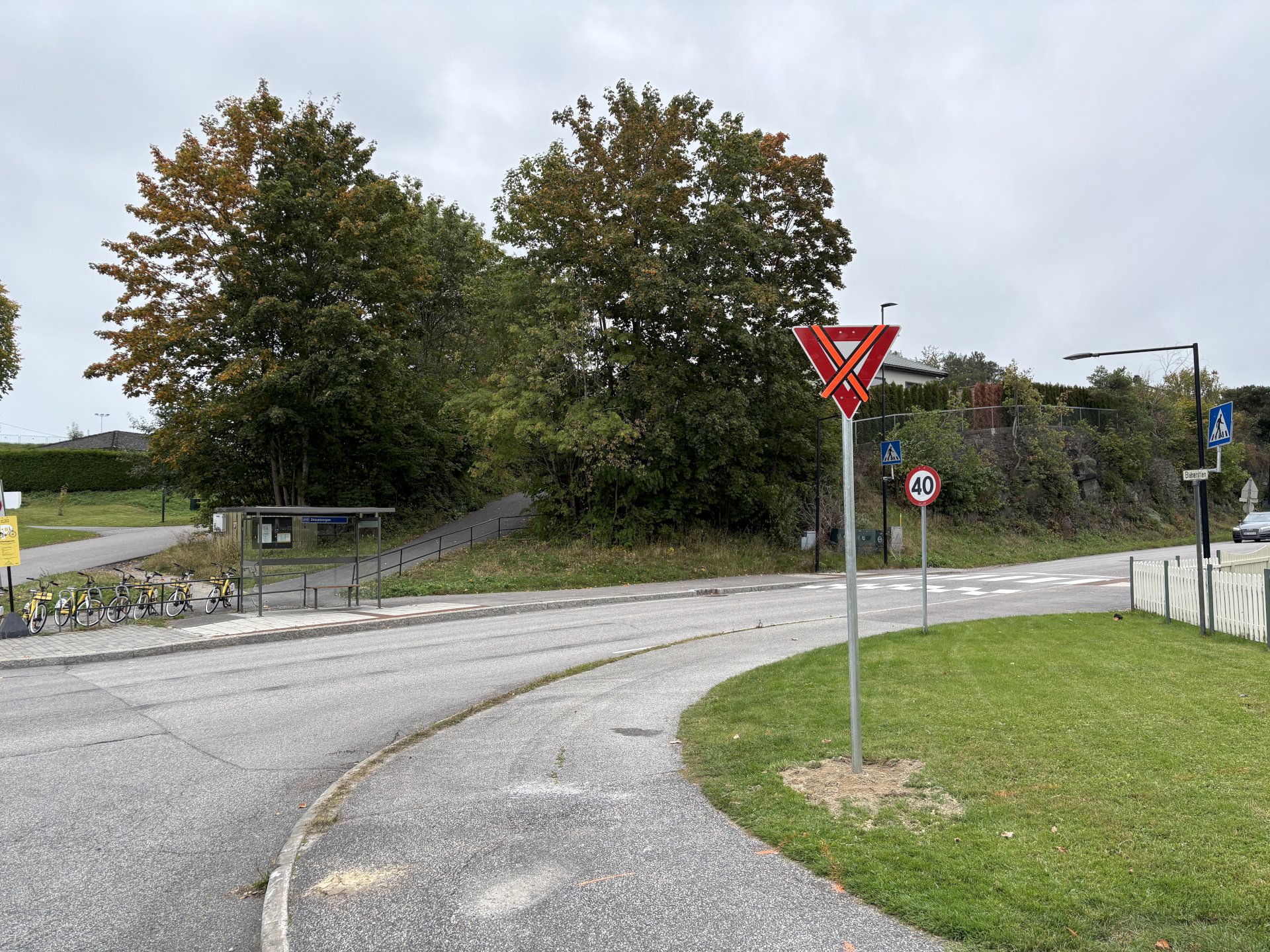 Vei med trær og grønt på sidene.